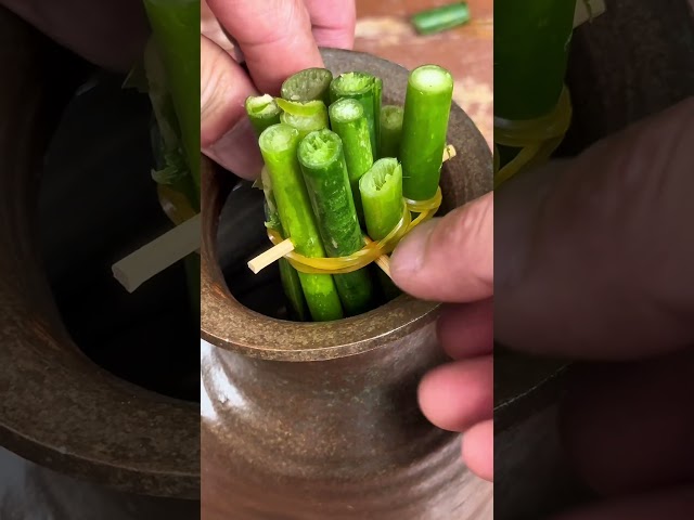‌小小一葩于草里，也生姿色百般怜‌。 #diy
