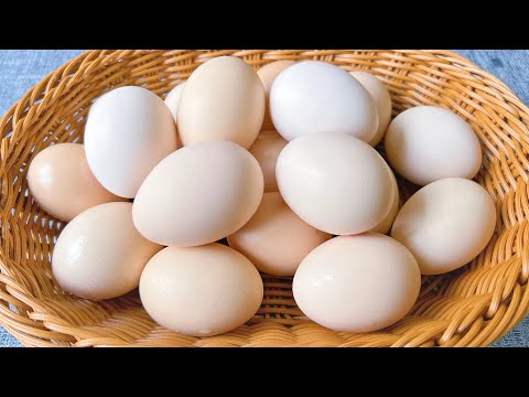 保存雞蛋萬萬不可放冰箱，教你一個土方法，放一年照樣新鮮，簡單又實用 ， save eggs，달걀을 구하다，卵を保存します，अंडे बचाओ  保存鸡蛋