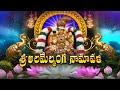 Amavaru Namavali Tiruchanoor | Padmavathi Namavali | Tirumala | Padmavathi Namavali in Telugu | SVBC