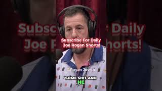 KEVIN JAMES ATTACKS ADAM... #podcast #mma #fighting #joerogan