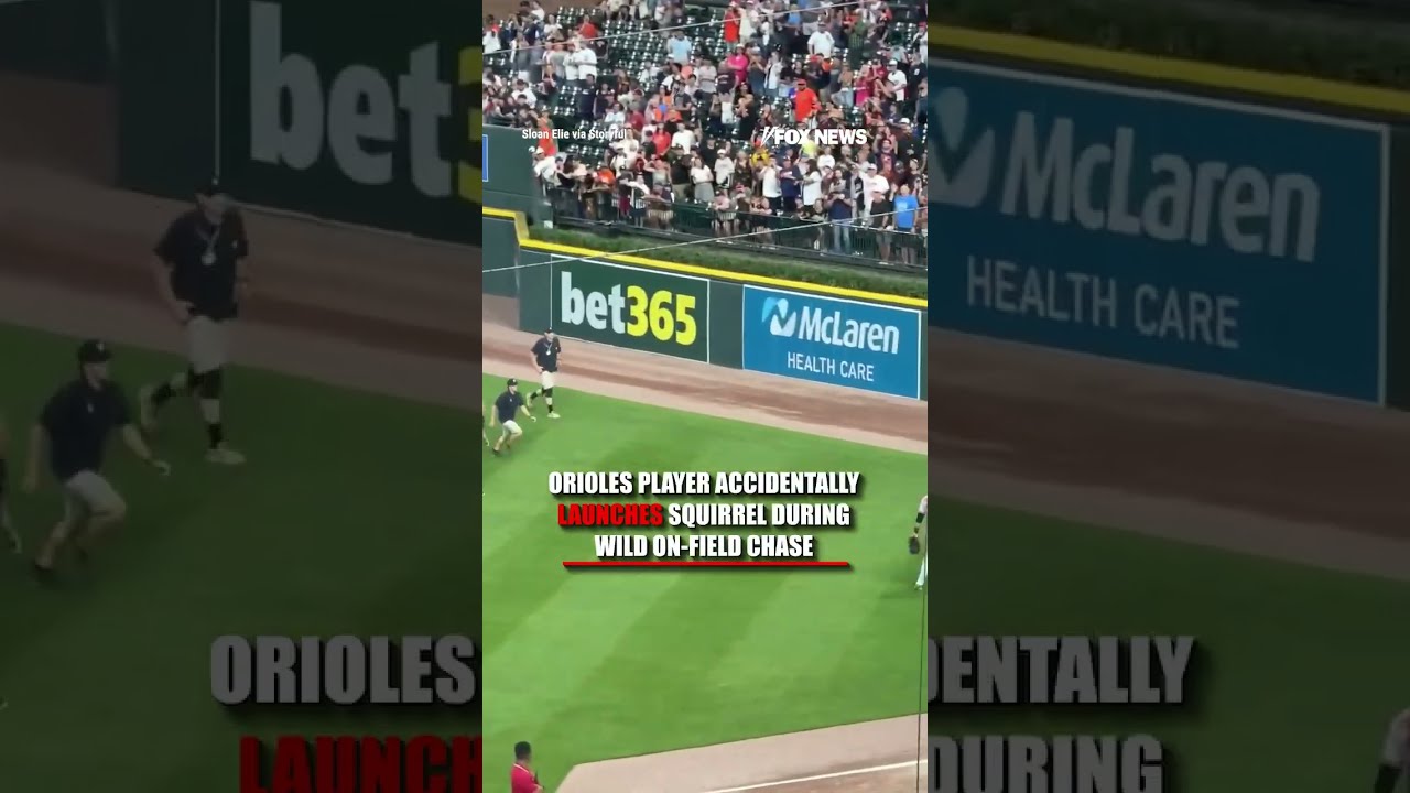Squirrel goes AIRBORNE in WILD MLB CHASE #foxnews #news #us #fox