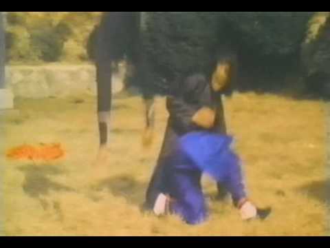 Zombie vs. Ninja'