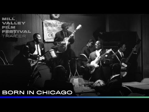 Born in Chicago'