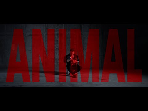 Xisco Feijoó - Animal - Single