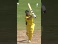 Umar Guls three-fer derails Australias record run in #CWC11 🔥 #cricket #cricketshorts #ytshorts  - 00:24 min - News - Video