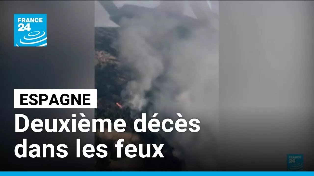 Espagne: un volontaire meurt en luttant contre un incendie dans le nord-ouest • FRANCE 24