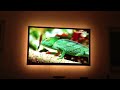 Sony KDL-65HX925 mit 5m RGB LED Stripes - aufgenommen mit iPhone 4s