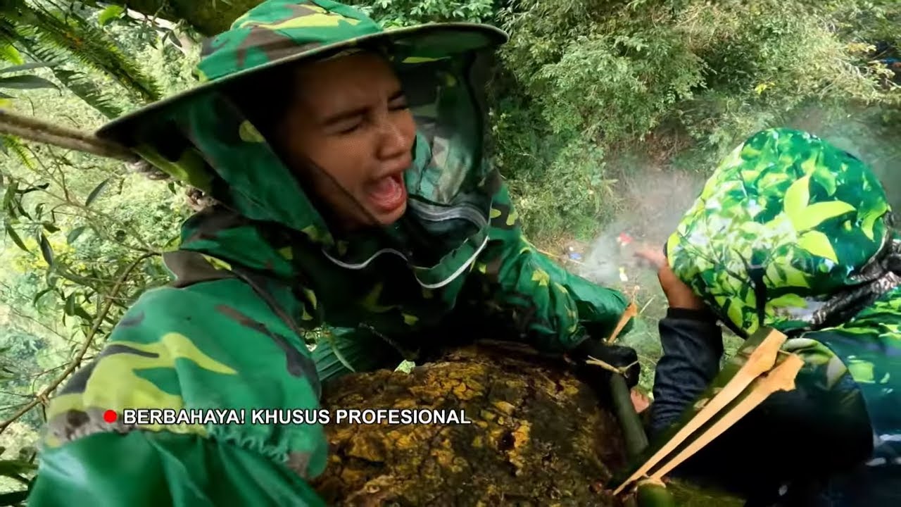 MENYINGKAP ALAM JAWA BARAT | JEJAK PETUALANG (19/06/24) Part 1