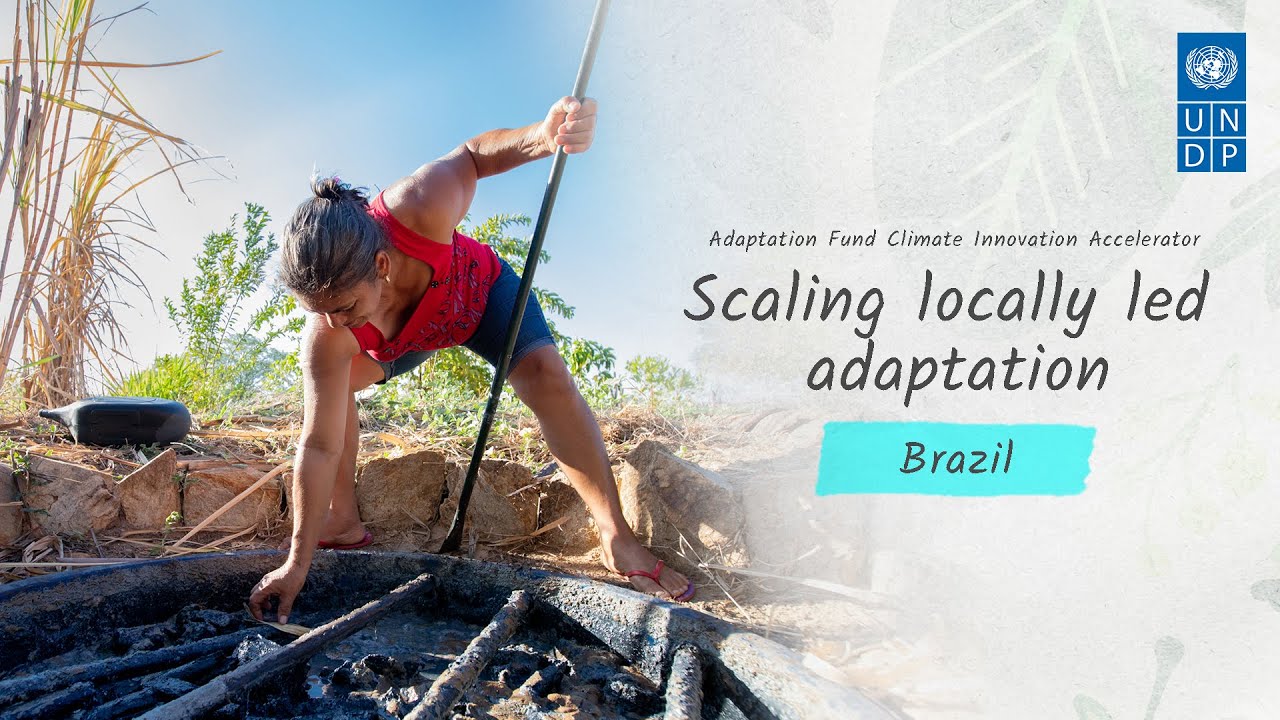 Using greywater to grow agroforests in Brazil: Centro de Desenvolvimento Agroecológico Sabiá