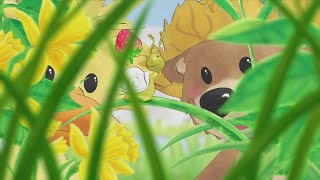 Suzina Zoo 7 - Donkov sluba