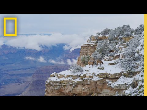 America's National Parks'