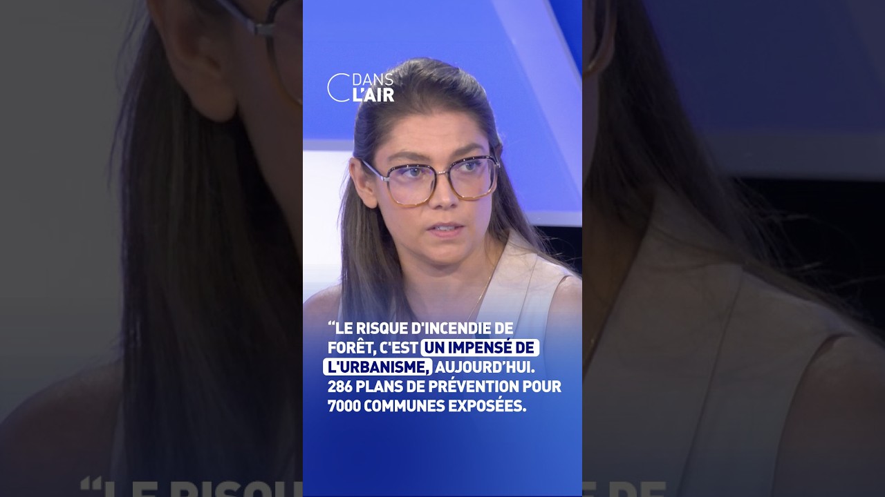"Le risque d'incendie de forêt, c'est un impensé de l'urbanisme"