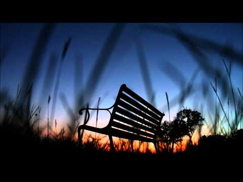 C418 - Post Success Depression  ( 2012 )