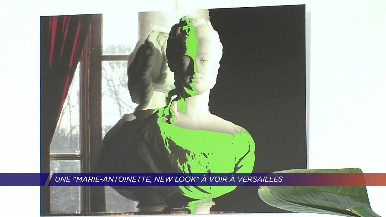 Yvelines | Une « Marie-Antoinette, New Look » à voir à Versailles