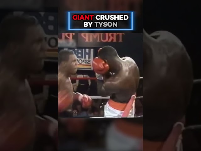SIZE GAVE NOTHING 🥊