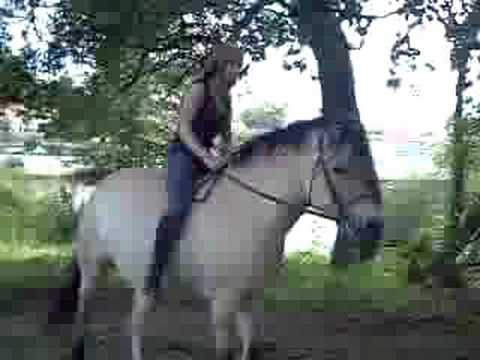 Frauen Reiten Männer Frauen Reiten Männer