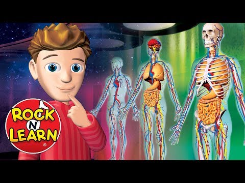 Human Body - Science for Kids - Rock 'N Learn