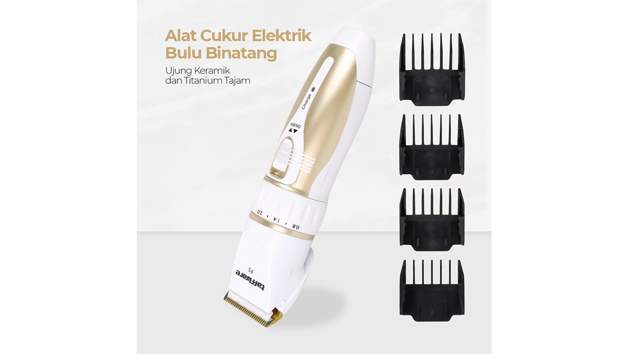 Taffware Alat Cukur Elektrik Bulu Binatang Pet Dog Hair Clipper - P3 Pratinjau video produk Taffware Alat Cukur Elektrik Bulu Binatang Pet Dog Hair Clipper - P3