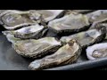 Climate change, overharvesting hit Texas oysters