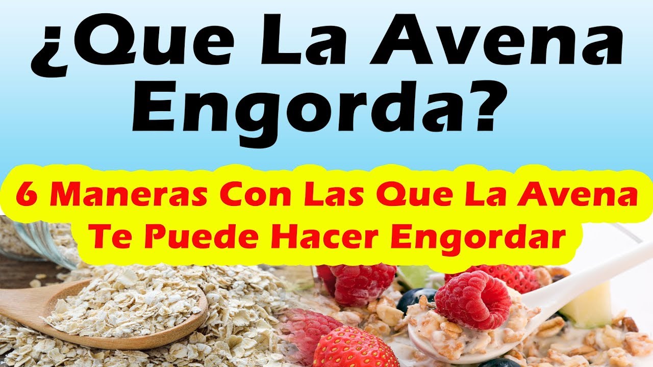 avena hervida con leche engorda