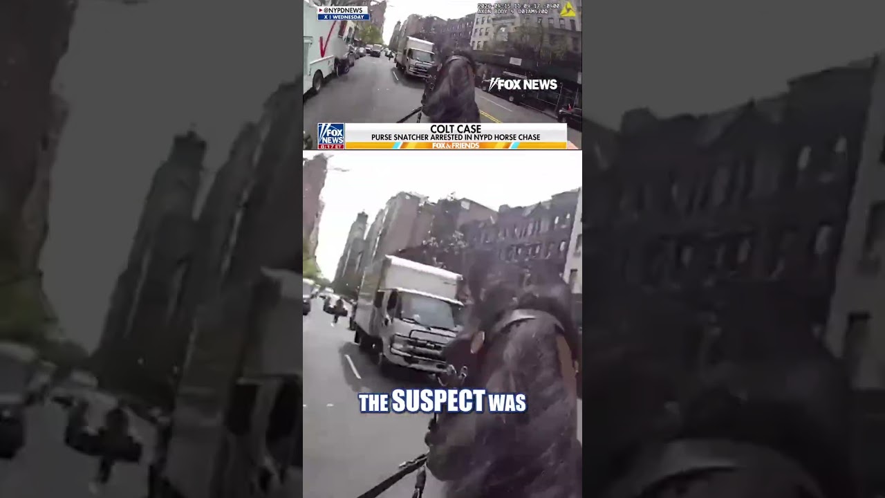 High-speed horse chase caught on NYPD bodycam #shorts