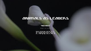 ANIMALS AS LEADERS - Red Miso