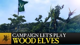 Total War: WARHAMMER - Realm of the Wood Elves Campaign Let's Play