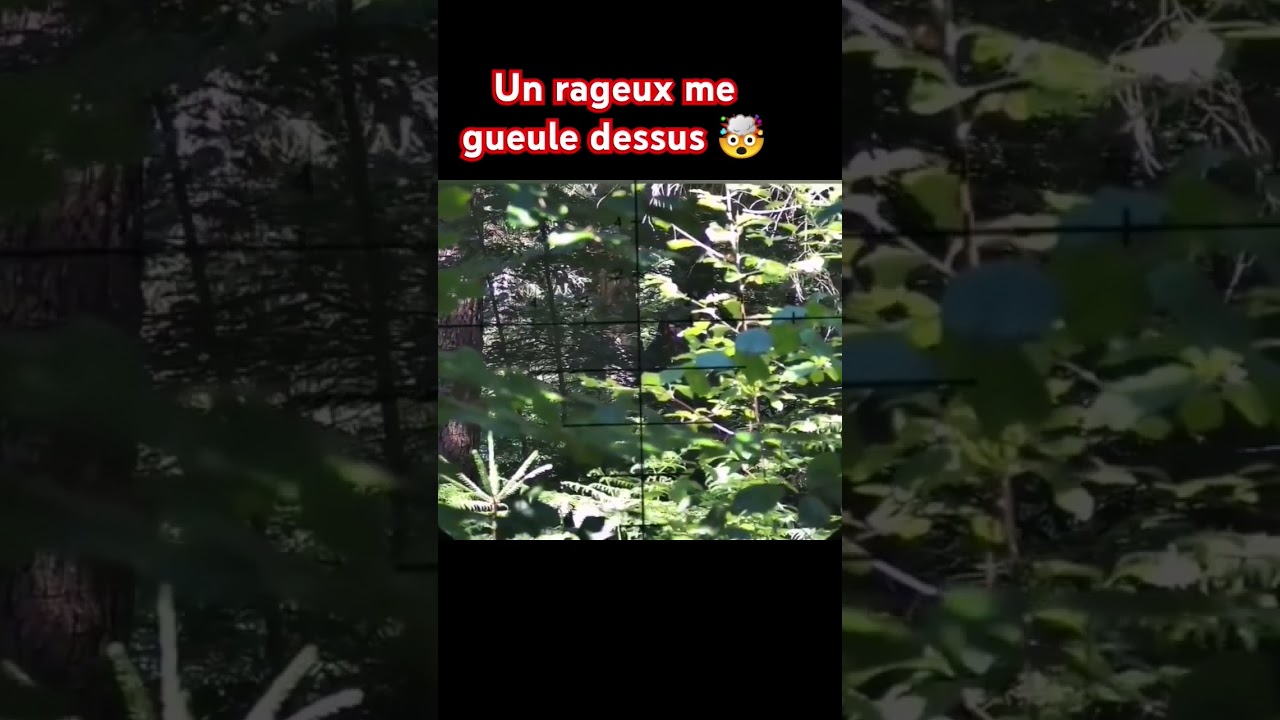 Un rageux me hurle dessus #ragequit #drama #airsoft