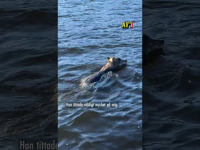 Chocken på fisketuren: ”Jag måste filma”