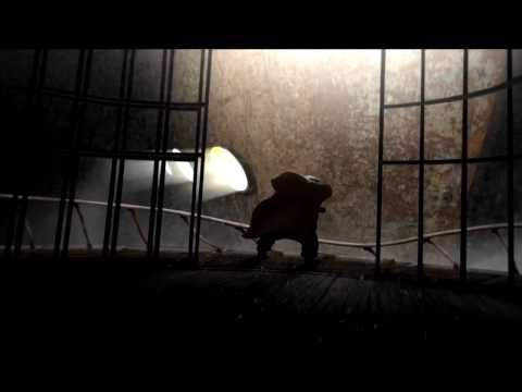 The Lighthouse Keeper'