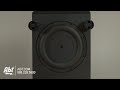 Definitive Technology Subwoofer PROSUB 800 Overview
