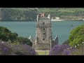 LIVE: Jacaranda trees bloom in Lisbon, Portugal - 01:48:41 min - News - Video