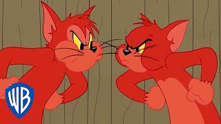 Tom a Jerry - Tom a Butch