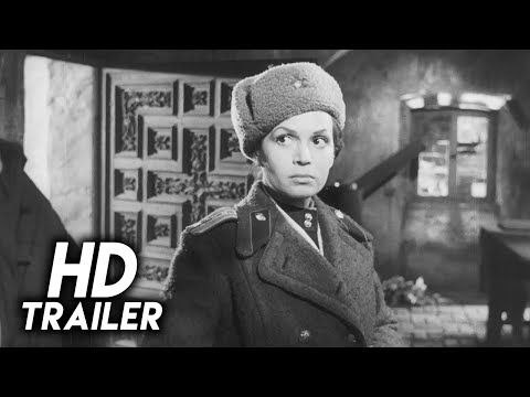 Der Arzt von Stalingrad'