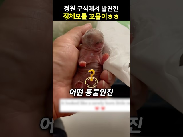 정원 구석에서 발견한 정체모를 꼬물이ㅎㅎ