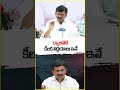 Telangana Cabinet Take Key Decisions | Minister Ponguleti Srinivas Reddy | V6 Shorts