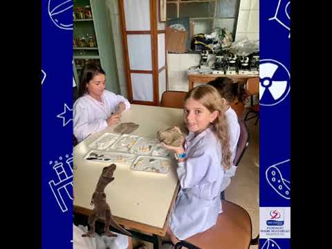 No laboratório de Ciências do Patronato Madre Mazzarello, nossos alunos do 4º ano do EF I, observaram ossadas de diferentes espécies de animais. Por meio da aula prática, eles verificaram variadas est