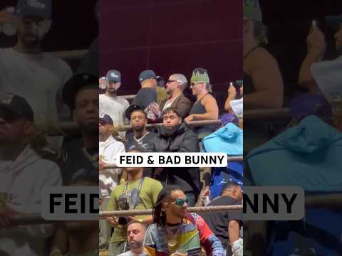 Feid y Bad Bunny Perro Negro 🐰💚