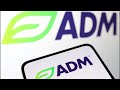 ADM shares tumble on probe into nutrition unit | REUTERS