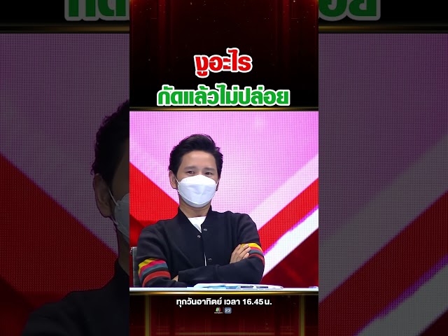 พี่แกร่งเกิน จับงูดุด้วยมือเปล่า แต่งูนี้ถ้าโดนกัด ต้องพาไปโรงพยาบาลด้วย !!