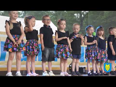 Dni Gminy Wilczyn 2025