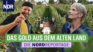 Apfelsaft, Cidre und Schorle - Hochsaison in der Mosterei | Die Nordreportage | NDR