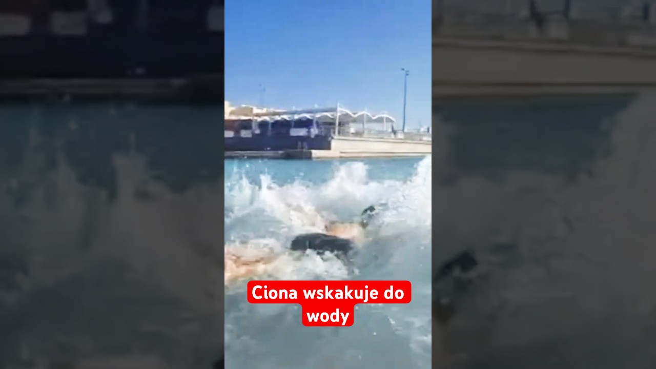 Ciona wskakuje do wody #shorts