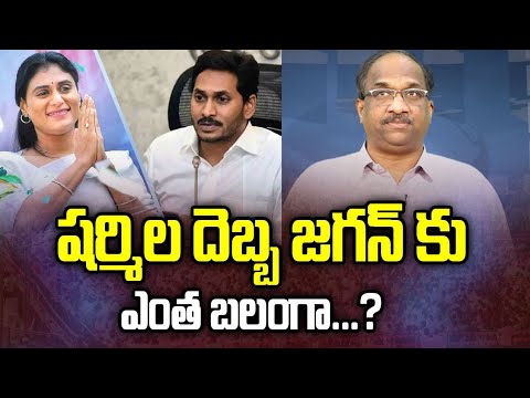 Prof K Nageshwar S Take YS Sharmila In AP How Much Impact On Jagan