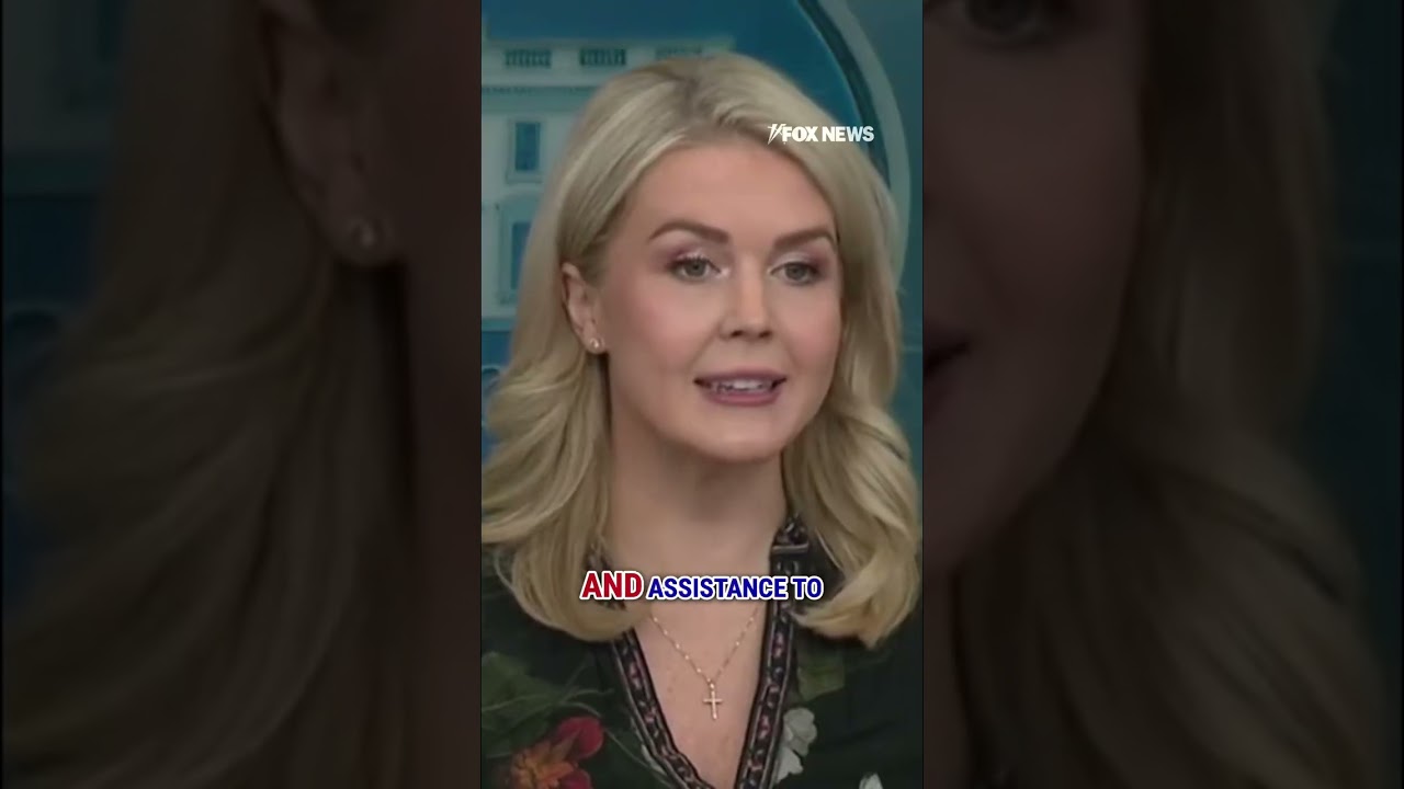 Karoline Leavitt address questions surrounding the Nigerian government #shorts #whitehouse