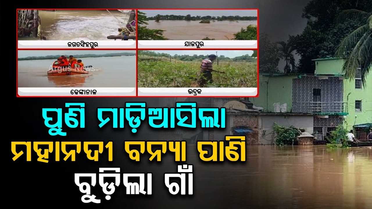 Floods Strike Again: 300 Stranded In Tirtol As Mahanadi Enters Villages For Second Time | Argus News