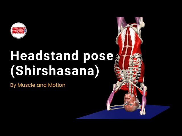 Everything You Need to Know to Master the Headstand Pose