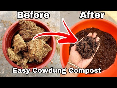 video Dry Cow Dung Powder 4 kg