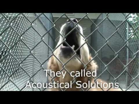 Dog Kennel Quieted by AlphaSorb® Acoustical Panels