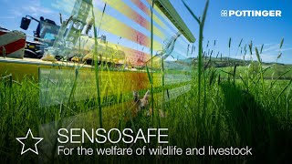 SENSOSAFE - sensor-based assistance system